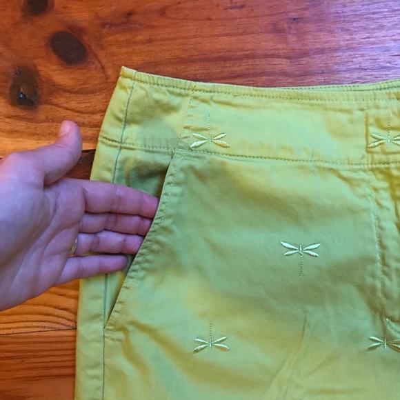 Talbots Light Green Dragonfly Embroidered Shorts, EUC, 6 - Picture 2 of 10